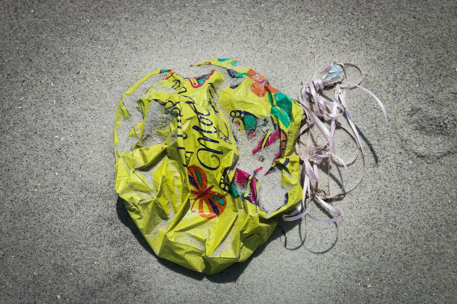 A single-use plastic balloon we found along the beach. When you realease a plastic balloon into the air - what goes up, must come down. During Summer months we find endless plastic balloons littering our beaches and waterways. Do everyone a favor and find a new way to celebrate special events, because we're sick of cleaning up after your celebrations.