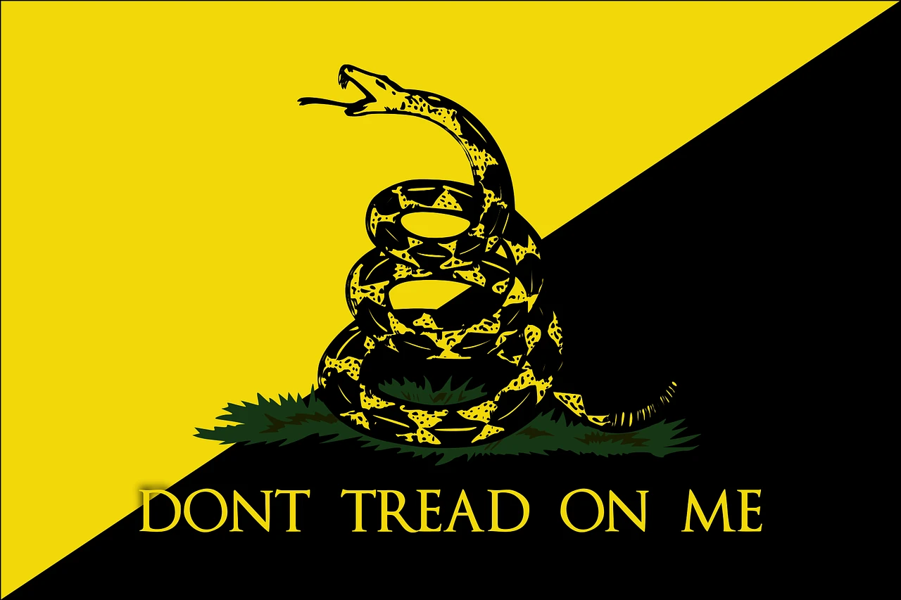 The Gadsden flag featuring a coiled rattlesnake on grass against a diagonally split black and yellow background. The snake is depicted in black with yellow pattern details, posed in a defensive striking position. Below the snake, text reads 'DONT TREAD ON ME' in yellow capital letters. The flag symbolizes American independence, liberty, and resistance to government overreach.